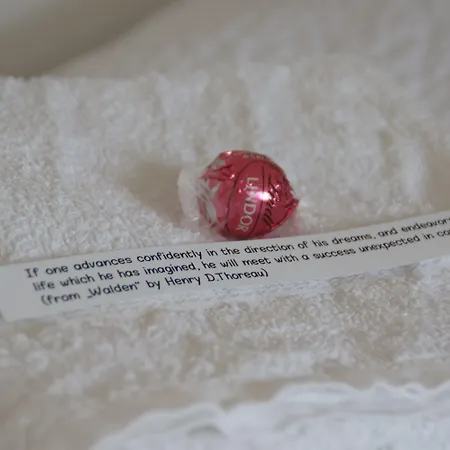 Black Forest 2* 弗罗伊登施塔特