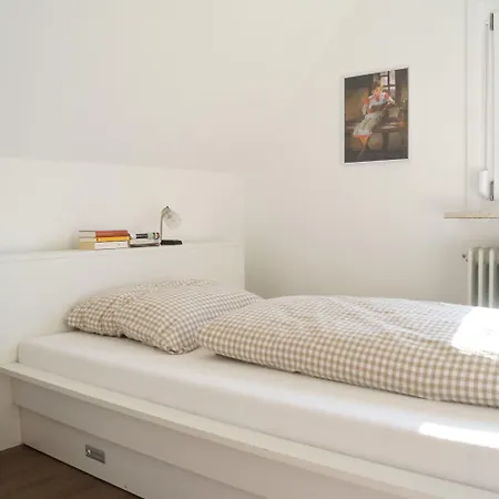 Black Forest 弗罗伊登施塔特