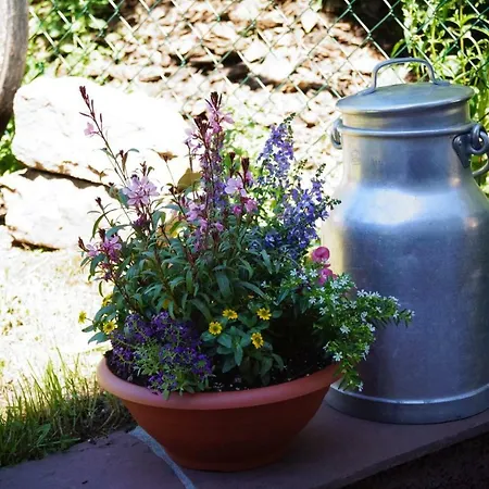 Black Forest Bed and breakfast Freudenstadt