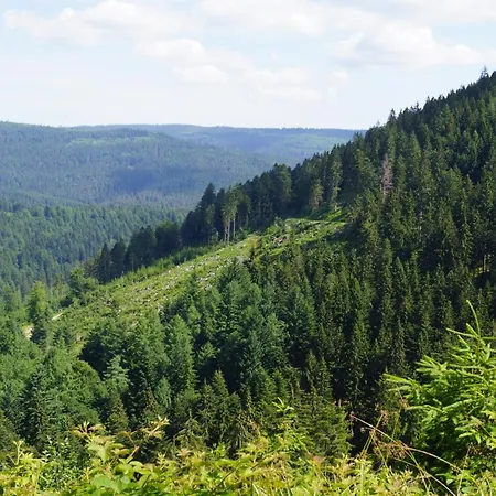 Black Forest Nocleg ze śniadaniem 2*