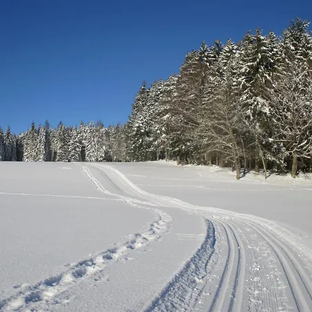 فندق مبيت وإفطار Black Forest فرودنستاد