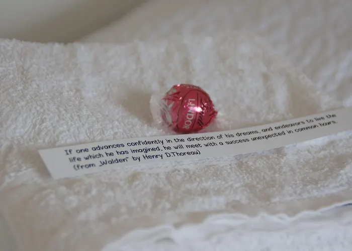 Black Forest 2* フロイデンシュタット