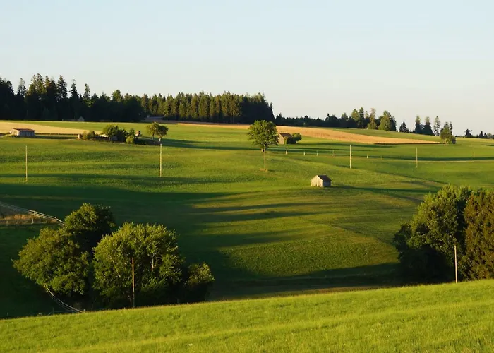 Bed & Breakfast Black Forest Freudenstadt