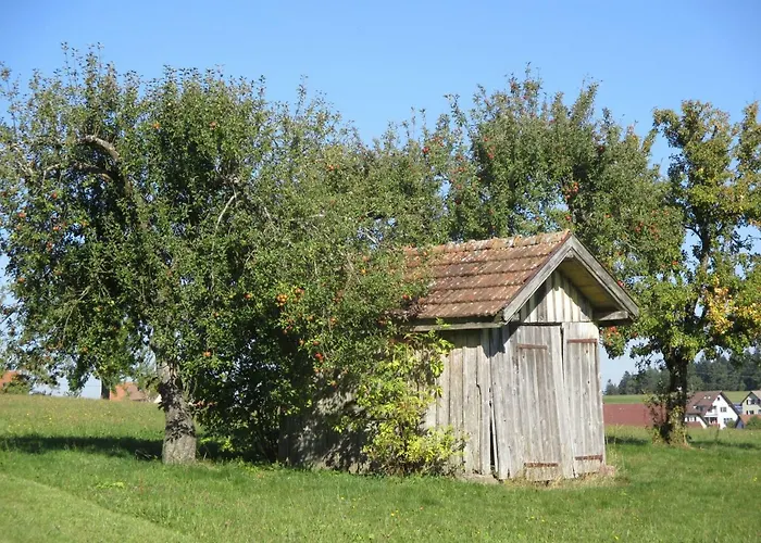 Bed & Breakfast Black Forest 2*