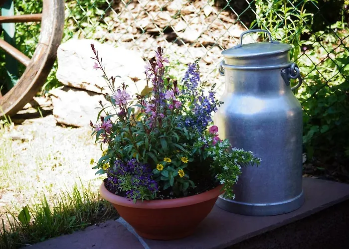 Black Forest Bed & Breakfast Freudenstadt