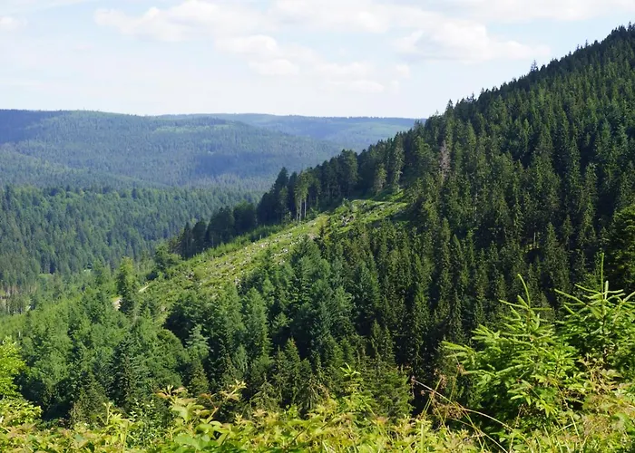 Black Forest Bed & Breakfast 2*