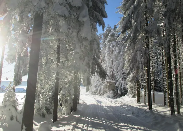 Black Forest Bed & Breakfast