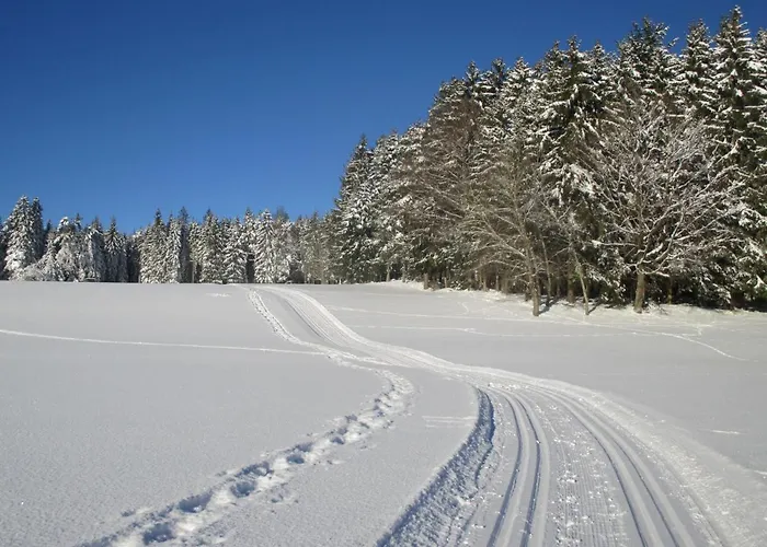 Bed & Breakfast Black Forest Freudenstadt